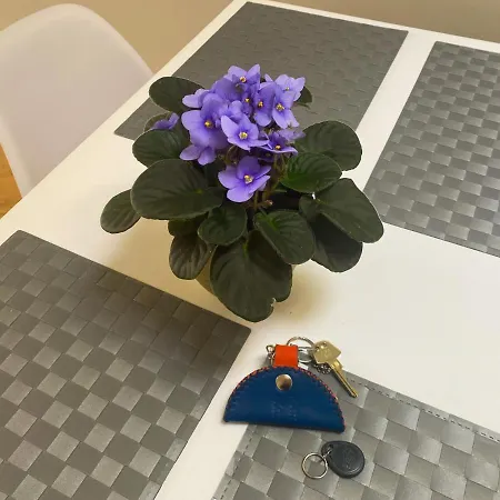 Meissneri Talveaia Maja * Kuressaare